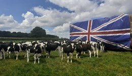 Measure and monitor: why record on-farm antibiotic use